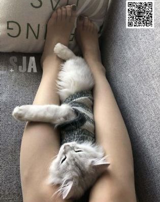 国产美女一级片_BD韩语神马在线观看